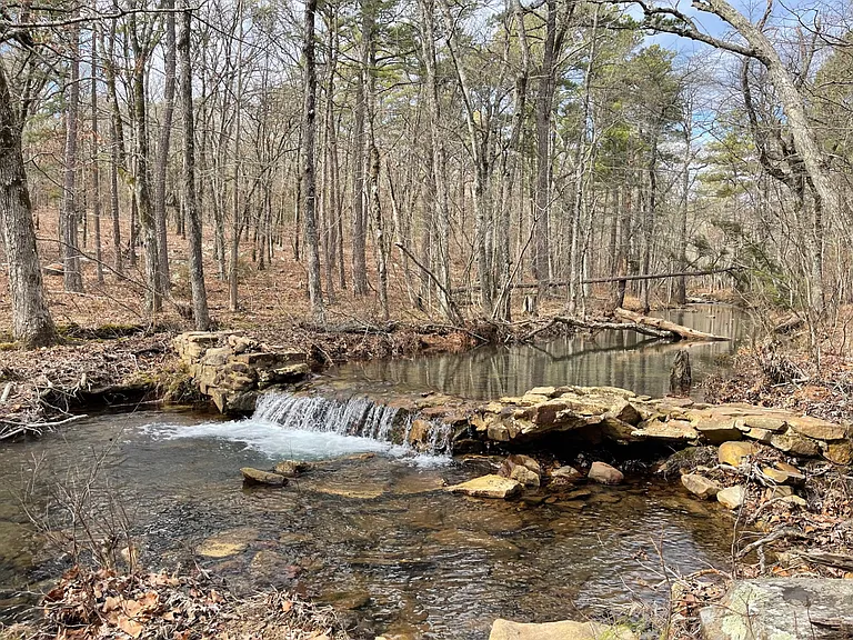 37.53 Acres of Prime Hunting Land with Cabin & Creek – Remote Mountain Retreat! | $135,900