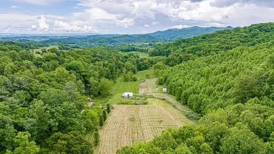 Photo of $240,000 – 34.4 Acres with Cottage, Creek & Guest House in Damascus, VA