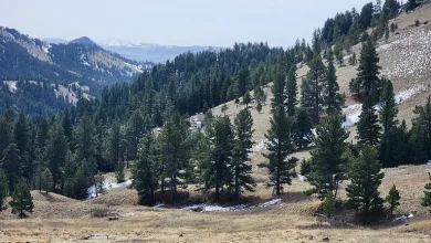Photo of $150,000 – Off-Grid 1-Bedroom Cabin on 13.58 Acres with Mountain Views in Cascade, MT