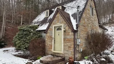Photo of Stone Cottage with 4 Bedrooms on 19 Acres in Alum Creek, WV