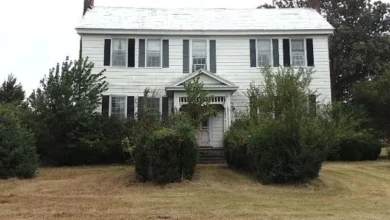 Photo of Farmhouse on 10.1 Acres with Outbuildings in Pendleton, NC