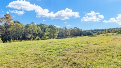 Photo of Private Mountain Retreat on 15+ Acres with Farm & Hunting Land in Alderson, WV