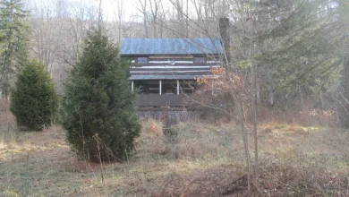 Photo of 6.28 Acres of Timeless Country Charm in Hot Springs, VA – 1882 Log Home Near The Homestead