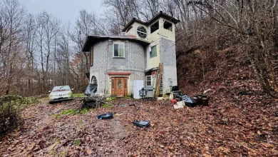 Photo of Castle-Inspired Concrete Home on 5.5 Acres in Greeneville – Build Your Legacy!