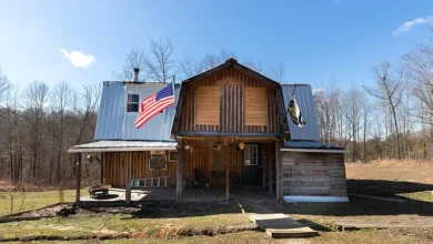 Photo of Peaceful 17.49-Acre Country Retreat with Pond and Orchard in Scenic Enville, TN