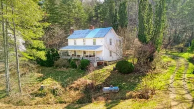 Photo of Charming 14.86-Acre Rustic Retreat in Ferrum, VA – A True Blue Ridge Countryside Gem