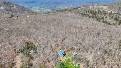 Photo of $160.000—10.04 Acres of Smoky Mountain Serenity in Spring City, TN – A Private Cabin Retreat with Endless Potential
