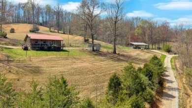 Photo of Beautiful 12.1-Acre Equestrian Retreat in La Follette, TN – Private Countryside Living Near Norris Lake