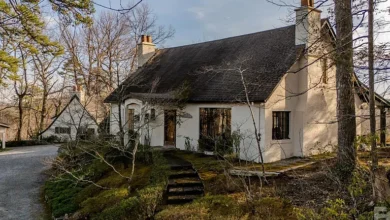 Photo of 5.94 Acres of Storybook Charm in Tryon, NC – A Timeless Mountain Cottage Retreat