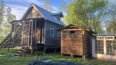 Photo of Secluded 49.5-Acre Timber Retreat with Creek and Wildlife in Waynesboro, TN