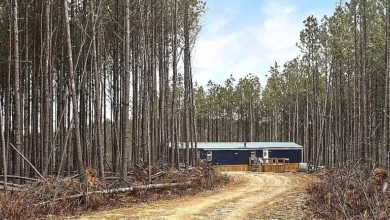 Photo of Peaceful 39.39-Acre Off-Grid Homestead in Linden, TN – Private Land with Springs, Solar Power & Garden Space