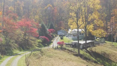 Photo of Breathtaking 120.65-Acre Mountain Homestead in Orlando, WV – Private Woodland Retreat at the End of Happy Hollow