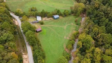 Photo of $140.000—77.85 Acres of Scenic Farmland & Wooded Retreat in Oneida, KY