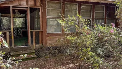 Photo of $150.000—Peaceful 10.15-Acre Woodland Retreat in Hawthorne, FL