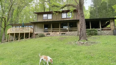 Photo of 5 Acres of Private Retreat—Mountain Charm in Ewing, Virginia, United States