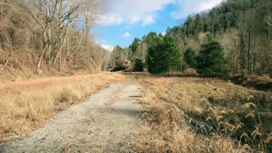 Photo of Breathtaking 101.18-Acre Riverfront Retreat in Clintwood, VA – A Secluded Appalachian Paradise
