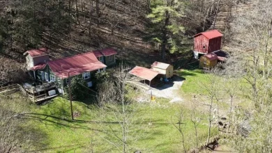 Photo of Peaceful 66.1-Acre Country Retreat in New Milton, WV – Charming Homestead Surrounded by Nature