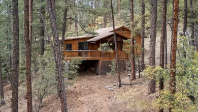 Photo of Secluded Cabin Retreat on 1.13 Acres with Forest Views in Arizona