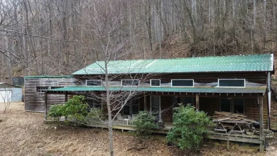 Photo of 12.6 Acres Mountain Opportunity in Hot Springs, NC – Private Retreat with Creekside Setting & Endless Potential