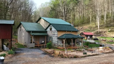 Photo of $259.000 — Historic Log Cabin on Expansive Acreage