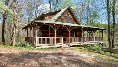 Photo of Peaceful Mountain Living Near Clarkesville GA – Private Setting with Stream on 4.59 Acres
