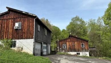 Photo of Affordable Mountain Property on 7.88 Acres with Big Potential in Scarbro, WV