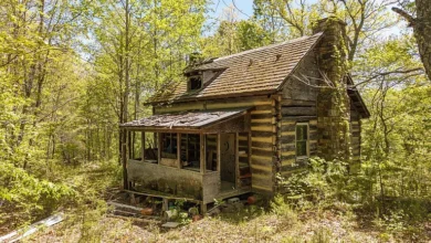 Photo of $185.000 – 55 Acres with Trails & Wildlife in Monroe County, WV