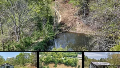 Photo of $199.900 – Unrestricted Farm on 17 Acres with Pond & Barn in Gainesboro, TN