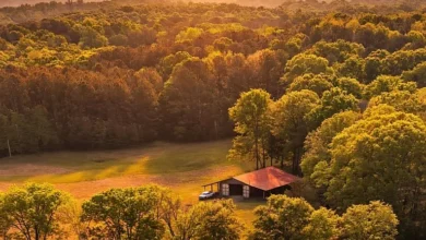 Photo of Rustic Log Cabin on 16.78 Acres with Huge Shop & Country Views