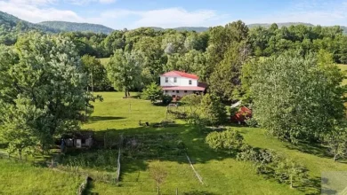 Photo of Farmhouse on 54.92 Acres with Pond, Barn, and Orchard
