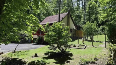 Photo of Charming Cabin Retreat on 5.3 Acres with Creek & Homestead Potential