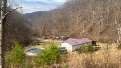 Photo of Secluded Homestead on 170 Acres with Endless Potential