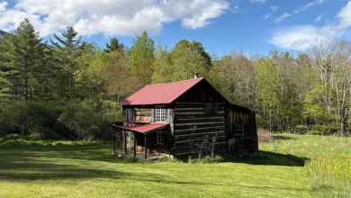 Photo of Historic Log Cabin on 38 Acres in Cass, WV