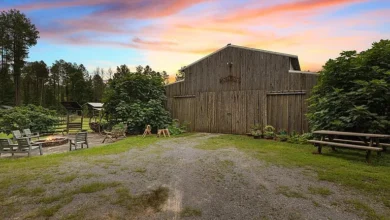 Photo of Rustic Cabin on 34 Acres in Blountsville, AL