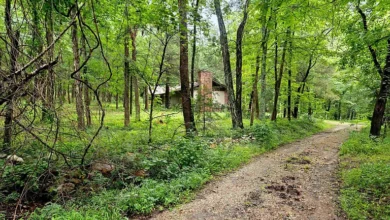 Photo of Private Cabin on 25 Acres with Spring & Endless Peace in Black Rock, AR